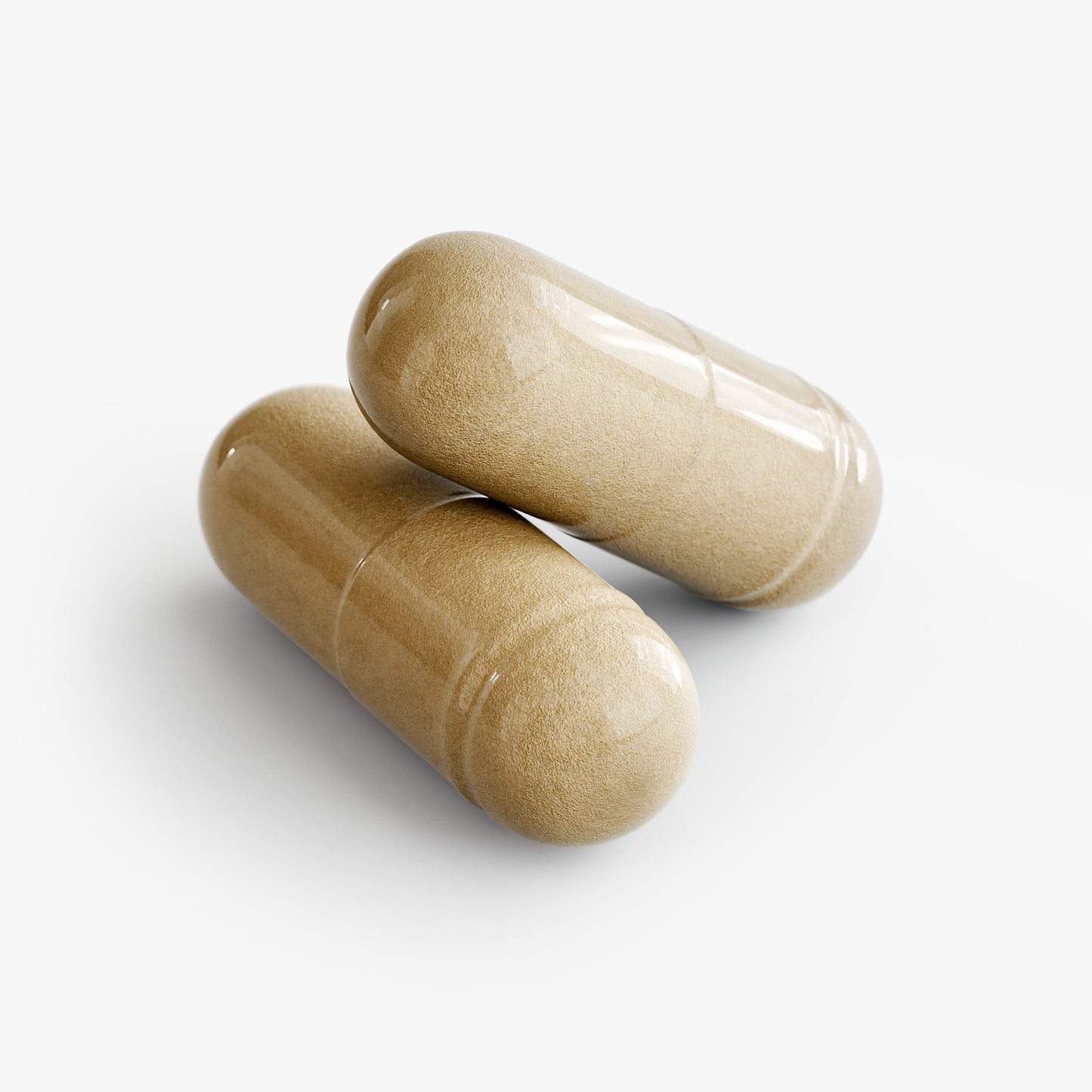Moringa Oleifera Leaf | With  high levels of antioxidants and bioactive plant compounds.