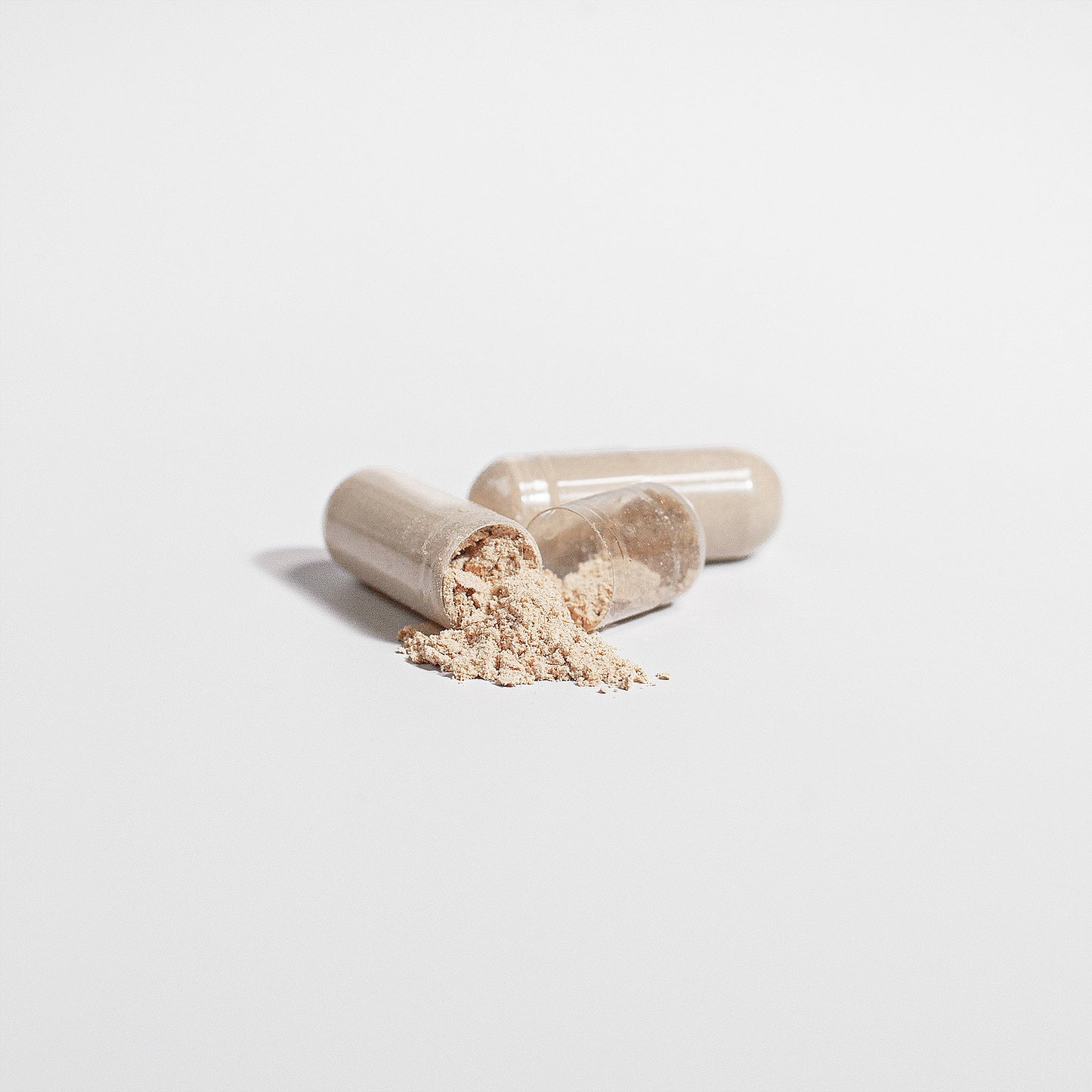 Lion's Mane Mushroom | Nootropics