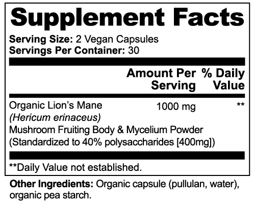 Lion's Mane Mushroom | Nootropics